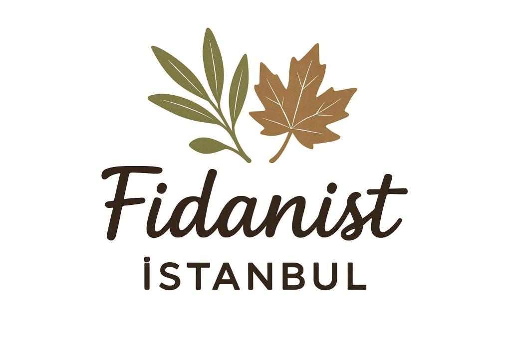 Fidanist İstanbul